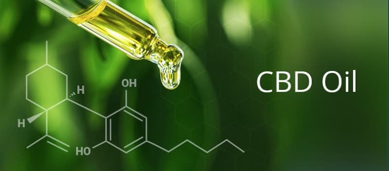 Lee más sobre el artículo ¿Qué es el aceite de CBD?